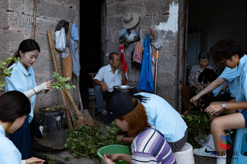 微信图片_20250718114511