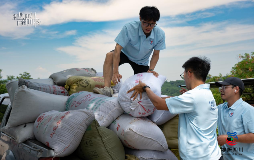 微信图片_20250718114445