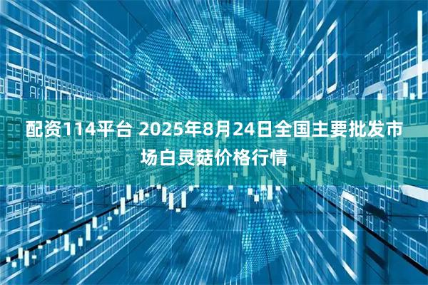 配资114平台 2025年8月24日全国主要批发市场白灵菇价格行情