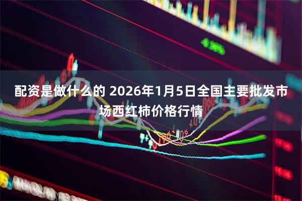 配资是做什么的 2026年1月5日全国主要批发市场西红柿价格行情
